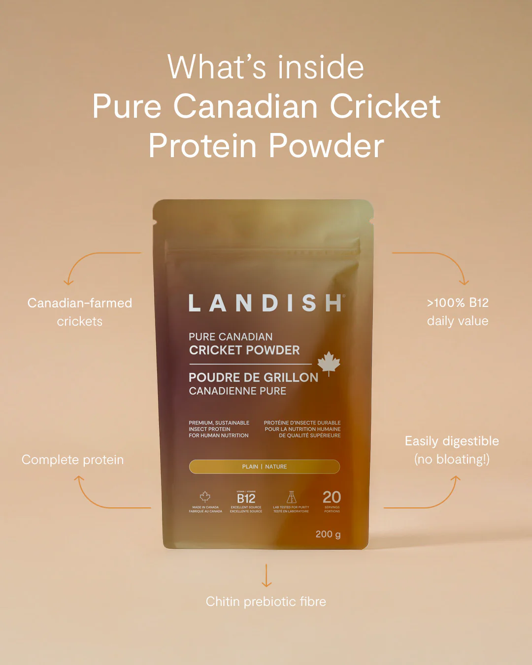 Pure Canadian Cricket Protein Powder - Image 3