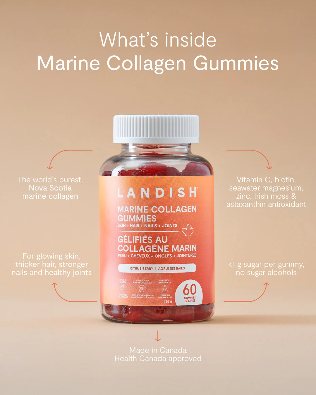 Marine Collagen Gummies - Image 4