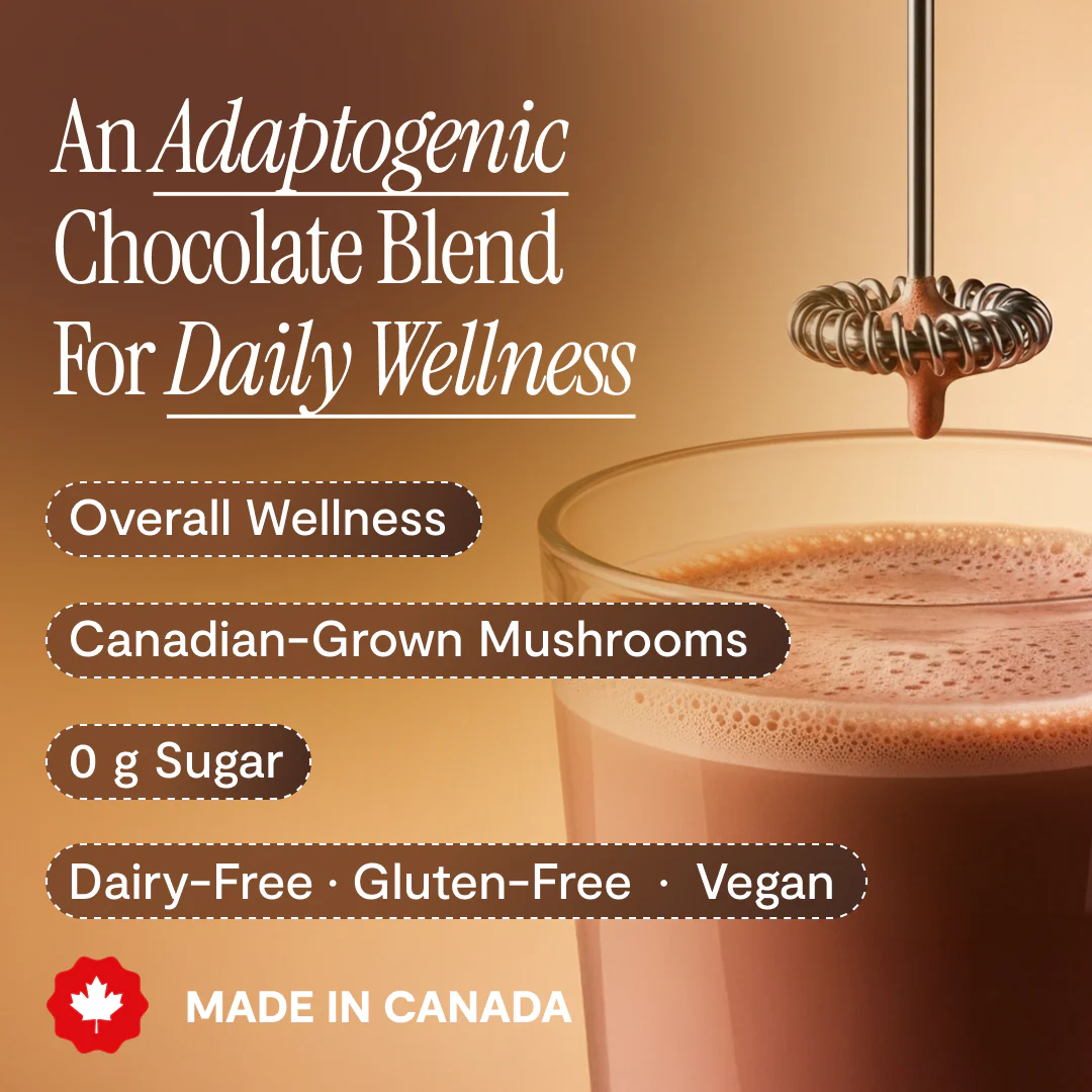 5 Mushroom Chocolate Blend - Image 3